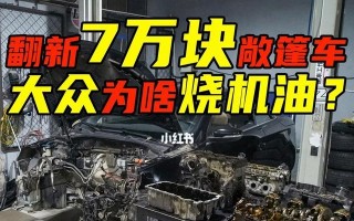 大众车烧机油的原因与解决方法（揭秘大众车烧机油的背后原因）