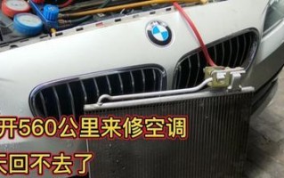 如何修理以斯柯达左侧转向灯对地短路问题（解决斯柯达左侧转向灯短路的实用方法）