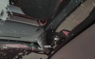 奇瑞小蚂蚁转向灯效果不好的原因与解决方法（探究奇瑞小蚂蚁转向灯不亮的原因及解决方案）