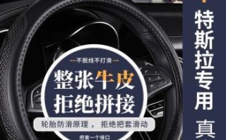 特斯拉档位边上的方向盘标志是什么意思？