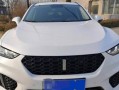 魏派vv7轮胎型号是什么？如何选择合适的轮胎型号？