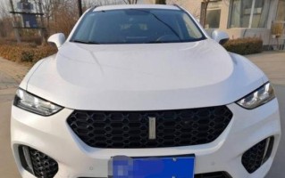 魏派vv7轮胎型号是什么？如何选择合适的轮胎型号？