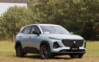 宝骏RS3轮胎规格型号解析（全面了解宝骏RS3轮胎规格型号）