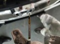 本田车烧机油后应该使用哪种机油？
