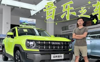 如何正确打开哈弗酷狗的转向灯（快速学会操作转向灯）