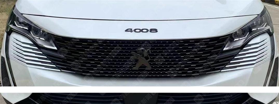 标致4008豪华版转向灯不亮怎么办？常见故障解决方法是什么？-第1张图片-好赞用车