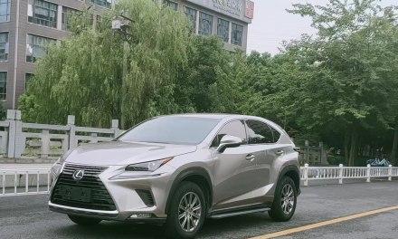 2022款雷克萨斯nx260参数是什么？如何选择配置？-第2张图片-好赞用车